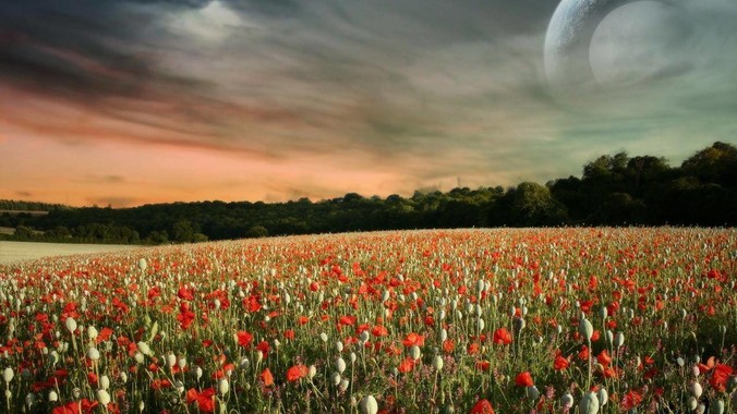 河南女生高考 288 分全家欢呼,这是一种什么样的心态?